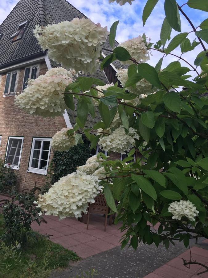 Gasthof Menke Niederhaverbeck 外观 照片